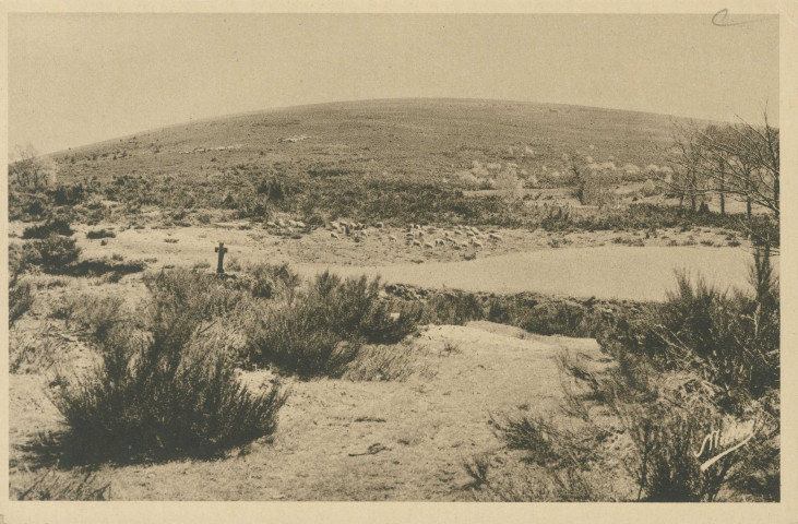 Sarran : "La Corrèze touristique - 6. Sarran - le Puy de Sarran (altitude 820 m.)".