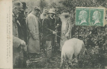 Jugeals-Nazareth : "14 - La recherche de la truffe à Jugeals, près Brive, au cours du voyage touristique de M. Poincaré en Corrèze".
