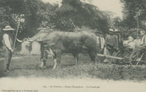 Folklore : "583. - En Corrèze - Scène champêtre. - Le fauchage".