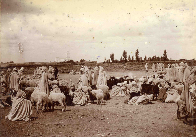 Marché aux moutons.