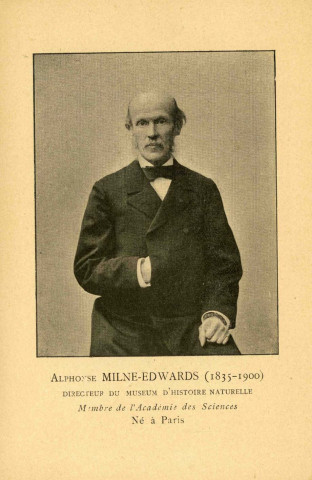 "Alphonse Milne-Edwards (1835-1900)".
