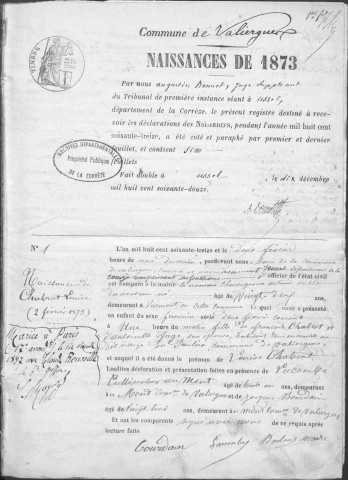 Naissances, mariages, décès (1873-1882)