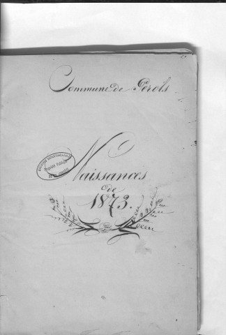 Naissances, mariages, décès (1873-1882)