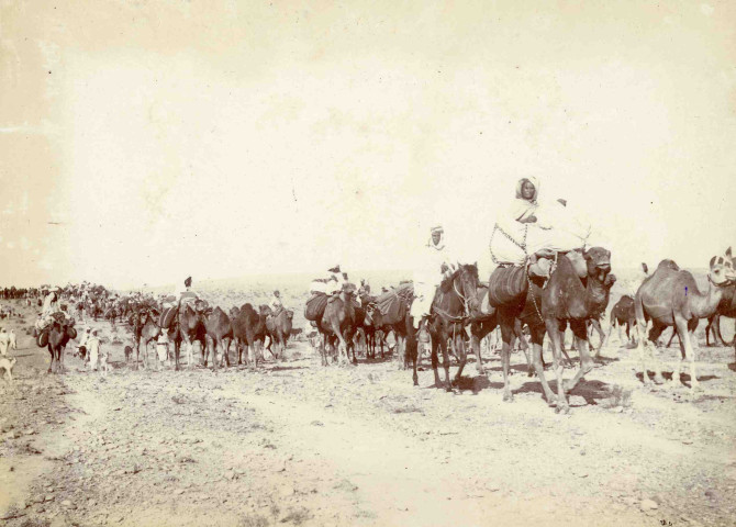Caravane des arabes Cheraga se rendant dans le Tell.