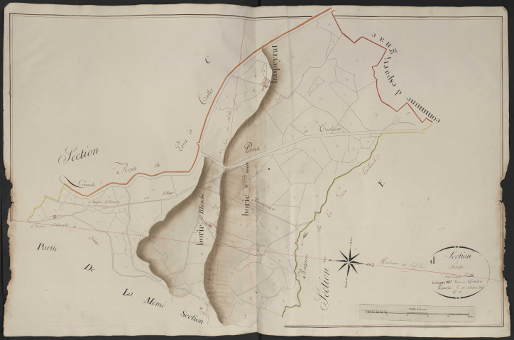 Section D1 de Belette