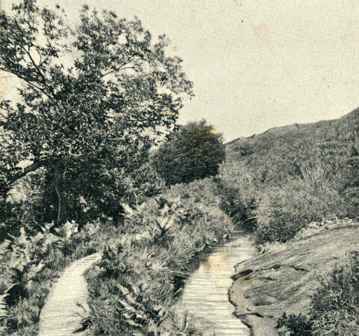 "Obazine : canal des moines et chemin latéral".