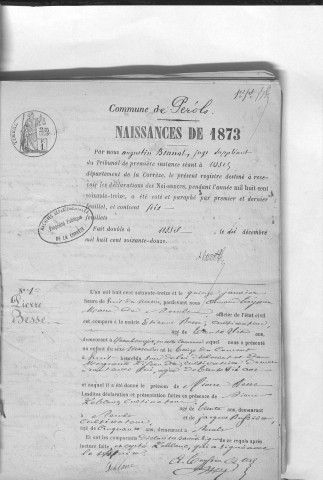Naissances, mariages, décès (1873-1882)