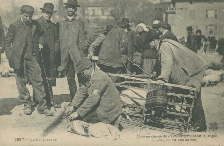 Folklore : "Nos campagne - 2557 - Le langueyeur (Homme chargé de s'assurer, en visitant la langue du porc, s'il est sain ou non)".