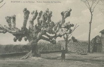 Egletons : "Egletons - 10. La terrasse - Porte et armoiries de Ventadour".