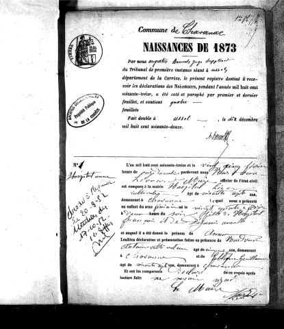 Naissances, mariages, décès (1873-1882)