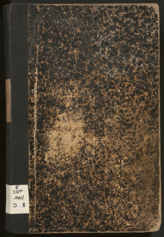 Délibérations du conseil municipal. 10 novembre 1907-24 février 1929