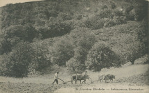 Folklore : "6. Corrèze illustrée - Laboureurs limousins".