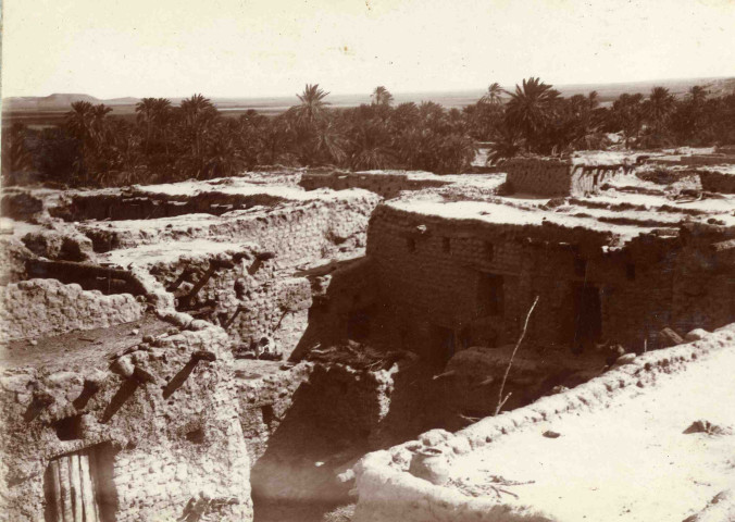 Village en torchis au milieu d'une oasis.