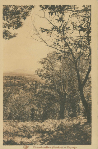Chamboulive : "Chamboulive (Corrèze) - Paysage".