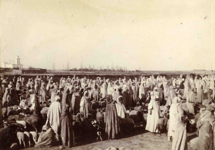 Marché aux moutons.