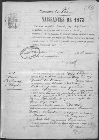 Naissances, mariages, décès (1873-1882)