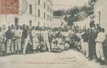 Tulle : "Tulle - L'épluchage des pommes de terre".