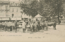 Brive-la-Gaillarde : "Brive - Place Thiers".