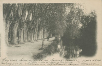Brive-la-Gaillarde : "Brive. - Place du 14-Juillet. - Allée du canal".