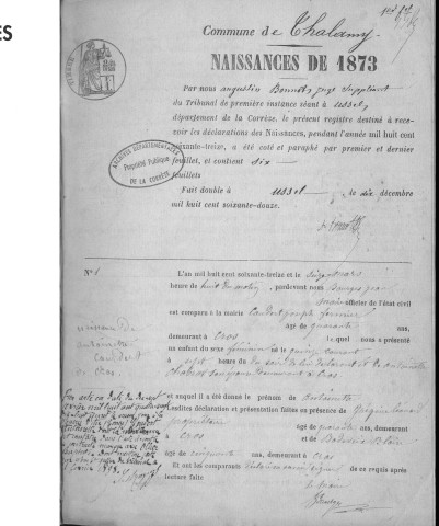 Naissances, mariages, décès (1873-1882)