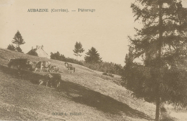 Aubazine : "Aubazine (Corrèze) - Pâturage".