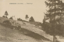 Aubazine : "Aubazine (Corrèze) - Pâturage".