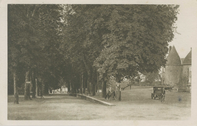Arnac-Pompadour : "Pompadour (Corrèze) - Allée des marronniers".