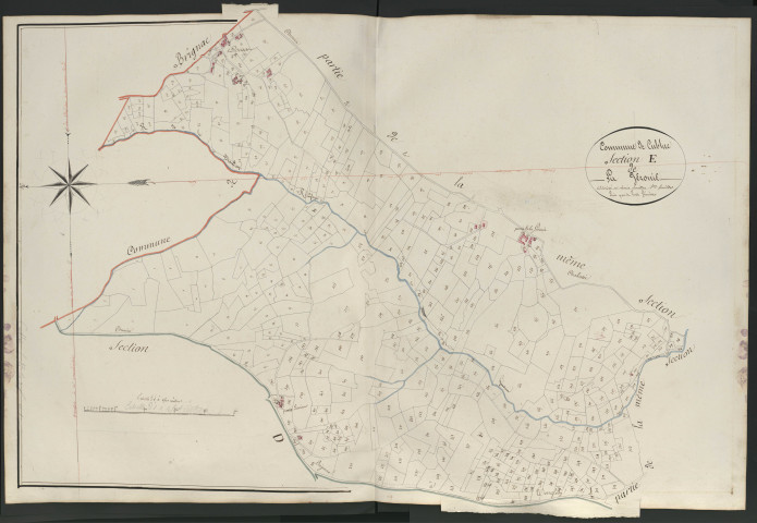 Section E1 de la Géronie