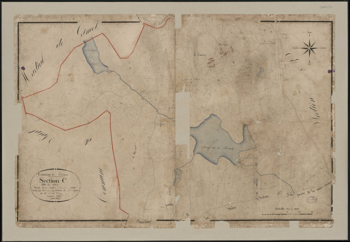 Section C1 du Coudert