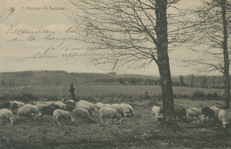 Le Lonzac : "7. Paysage du Lonzac".