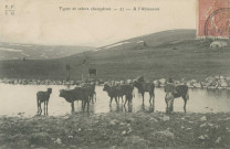 Folklore : "Types et scènes champêtres - 21 - A l'abreuvoir".