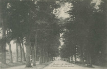 Brive-la-Gaillarde : "Corrèze - 41 - Brive - La Guierle, allée des acacias".