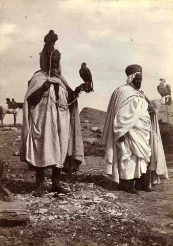 L'afgha Ben Dif et son fauconnier.