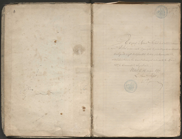 Délibérations du conseil municipal. 25 décembre 1878-20 décembre 1896