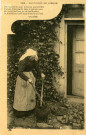 "588 - Chataignâ do Limousi".