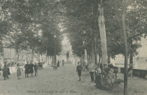 Tulle : "86 Tulle. - Promenade du quai de Baluze".