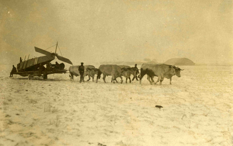 Fuselage d'un aéroplane tracté par des boeufs.