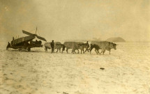Fuselage d'un aéroplane tracté par des boeufs.