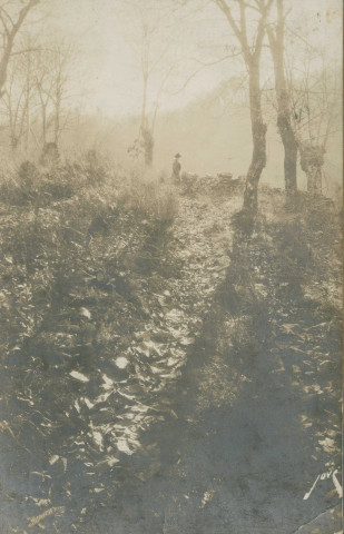 Gimel : "La France immortelle - 37 - Région Limousine. Cascades de Gimel (Corrèze). Autour des cascades, les sentiers".