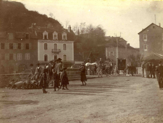 Attelages, éleveurs porchers et leurs cochons, fiacre, quai Saint-Priest et pont de la Barrière.