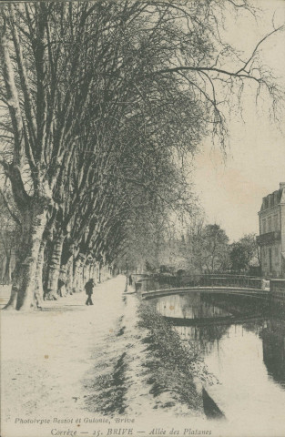 Brive-la-Gaillarde : "Corrèze - 25. Brive - Allée des platanes".