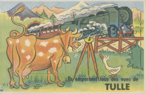 Tulle : "Ils emportent tous des vues de Tulle". Vache et canard regardant passer un train.