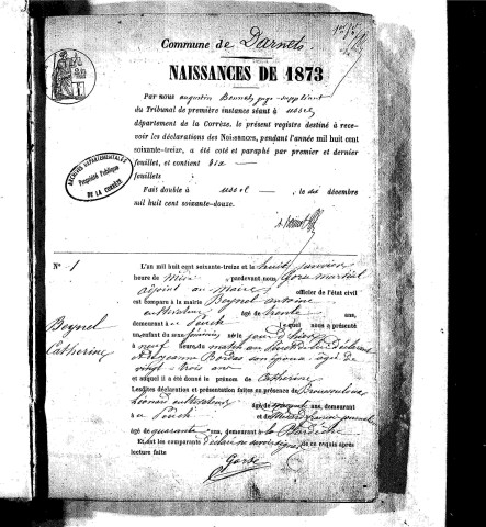 Naissances, mariages, décès (1873-1882)
