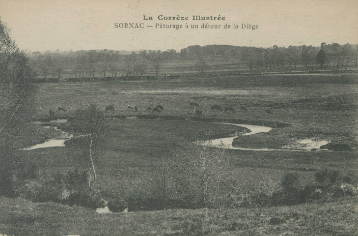 Sornac : "La Corrèze illustrée - Sornac - Pâturage à un détour de la Diège".