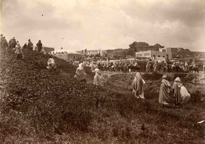 Passage du Président, la queue du cortège.
