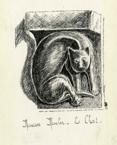 Le chat.