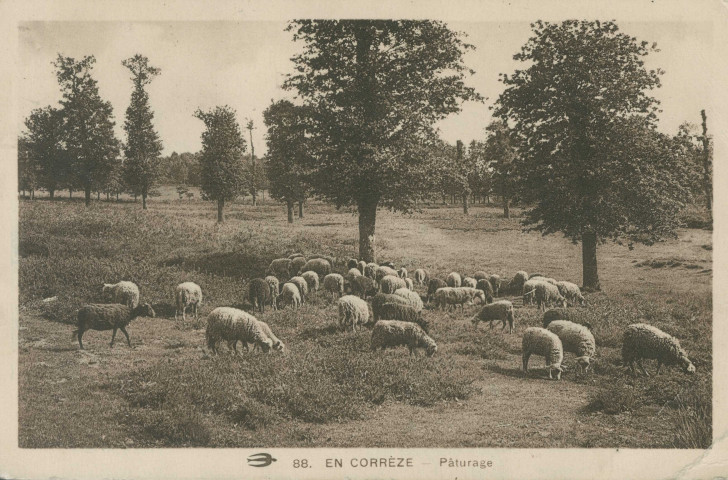 Folklore : "88. En Corrèze - Pâturage".
