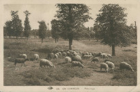 Folklore : "88. En Corrèze - Pâturage".