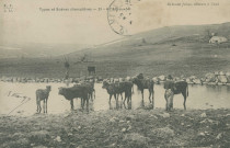 Folklore : "Types et scènes champêtres - 21 - A l'abreuvoir".