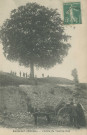Masseret : "Masseret (Corrèze) - L'arbre du Touring-club".
